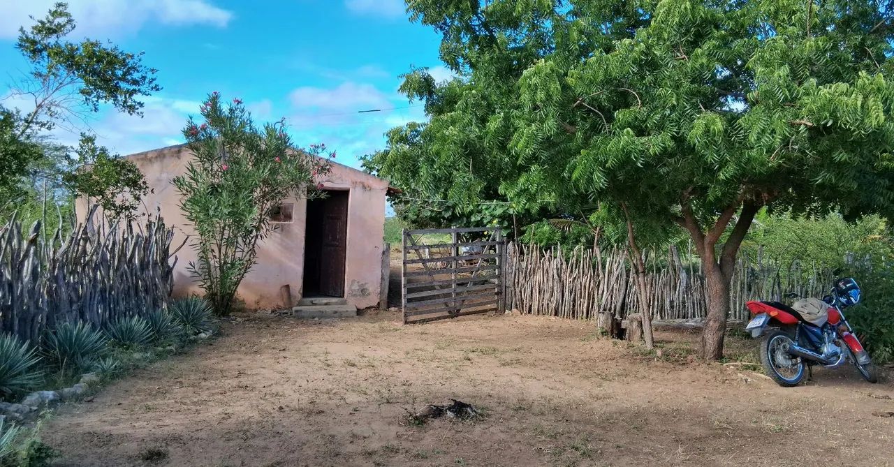 Vendo sítio 20.000 m2  - Foto 5