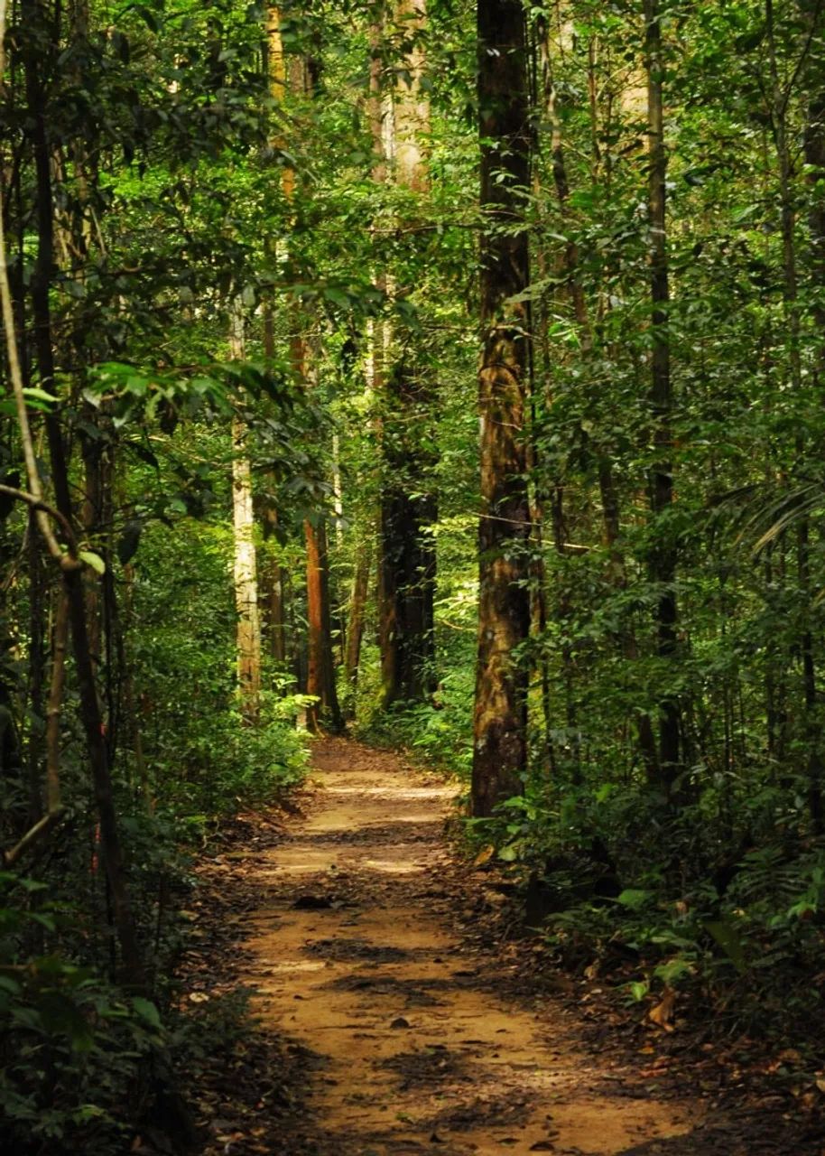 Foto - Santarém - Aldeia