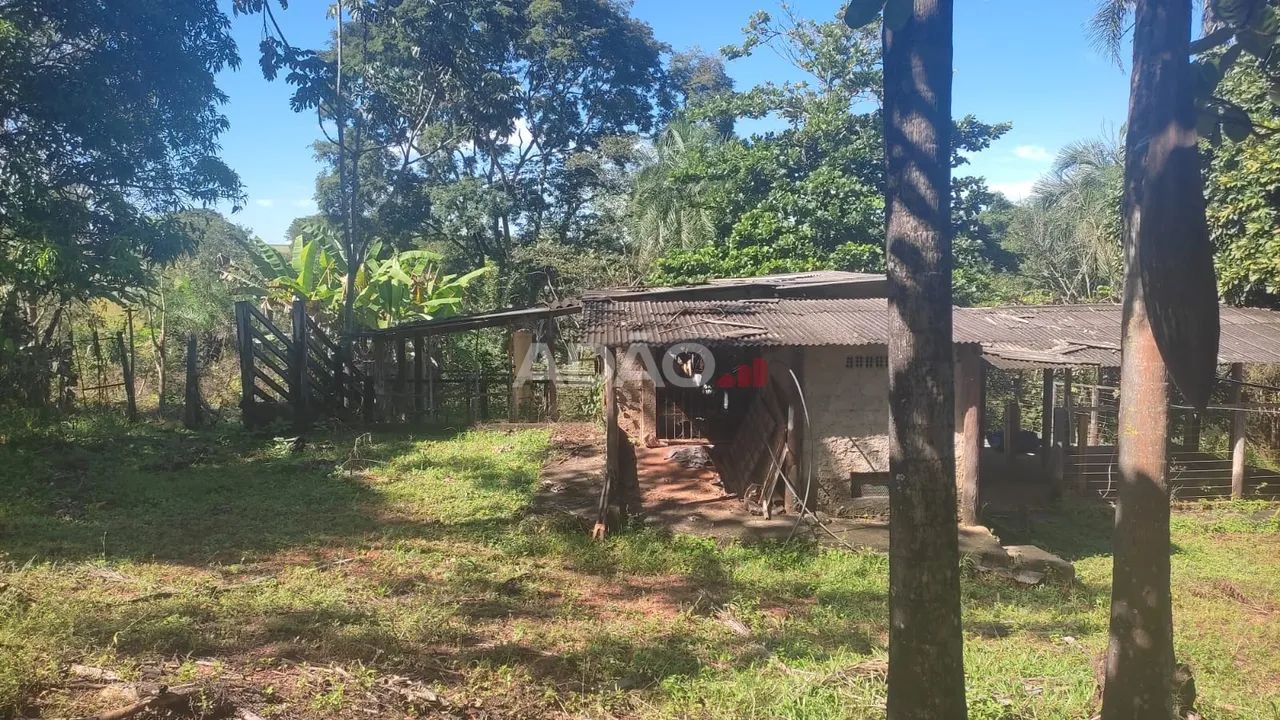 Vendo sítio em Bela Vista - Foto 5