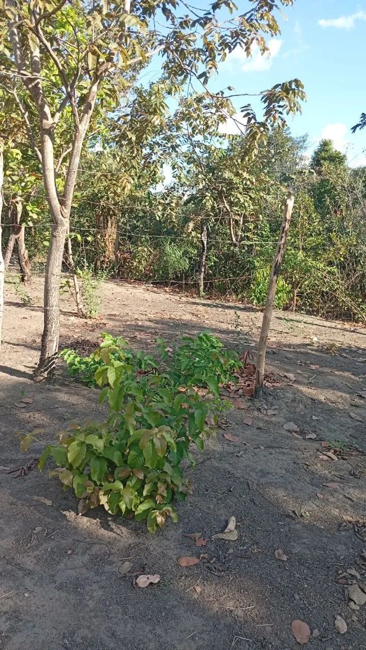 Terreno 8 x 20 m - Foto 2