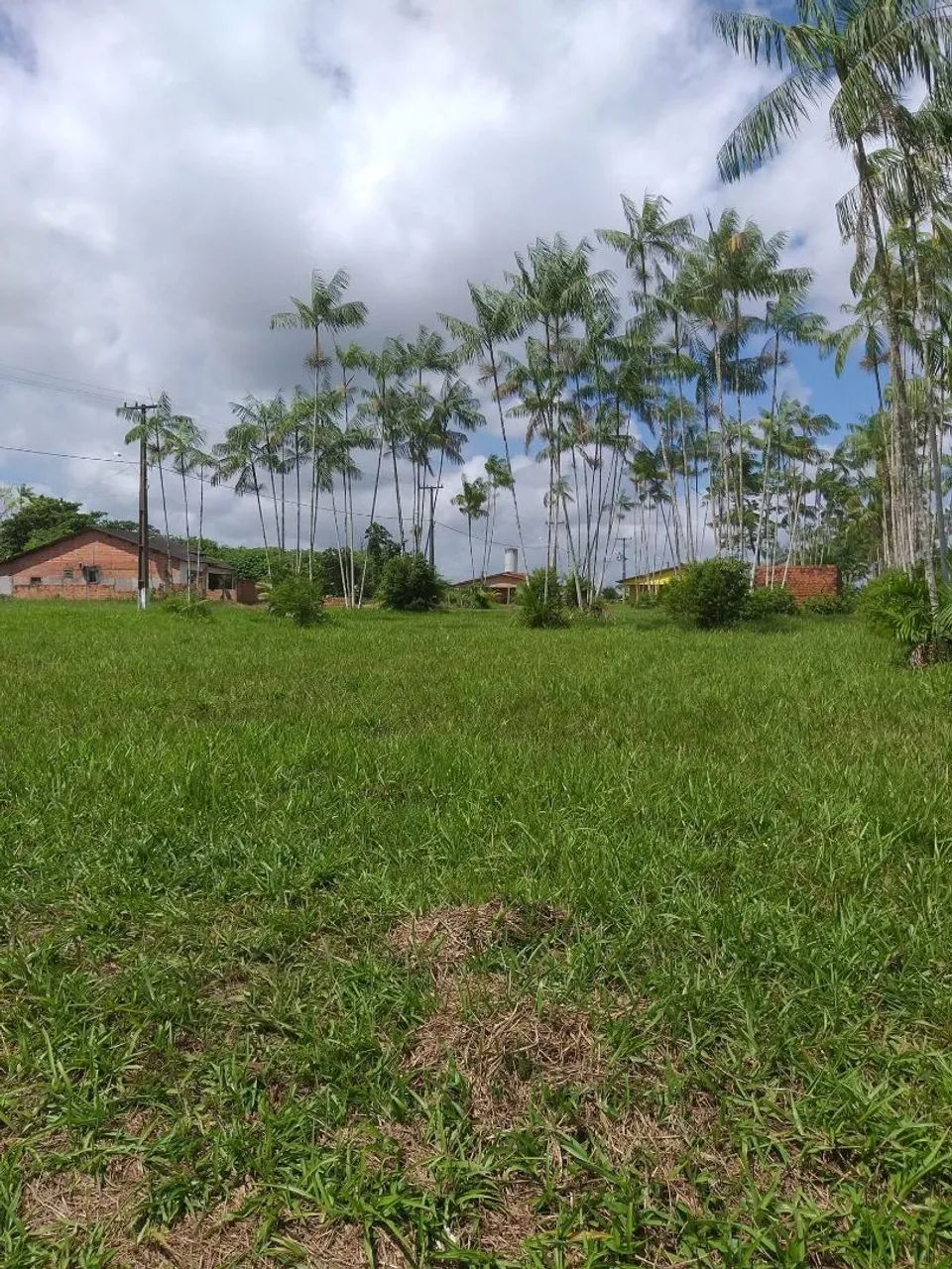 Foto - Belém - Aurá