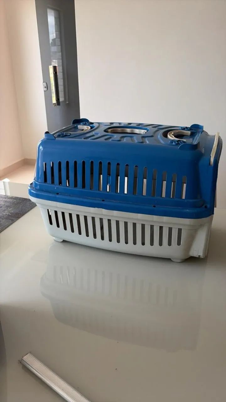 Caixa Transporte Cachorro Gato Viagem Passeio Pet