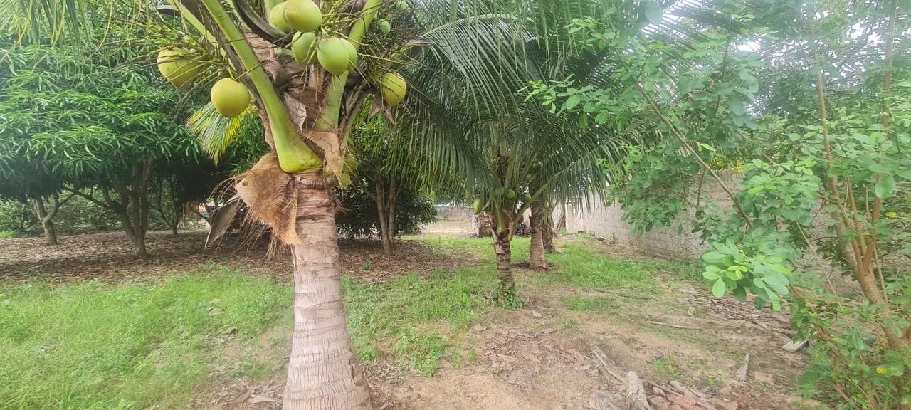Chácara N.Senhora Aparecida, Várzea Grande - Foto 3