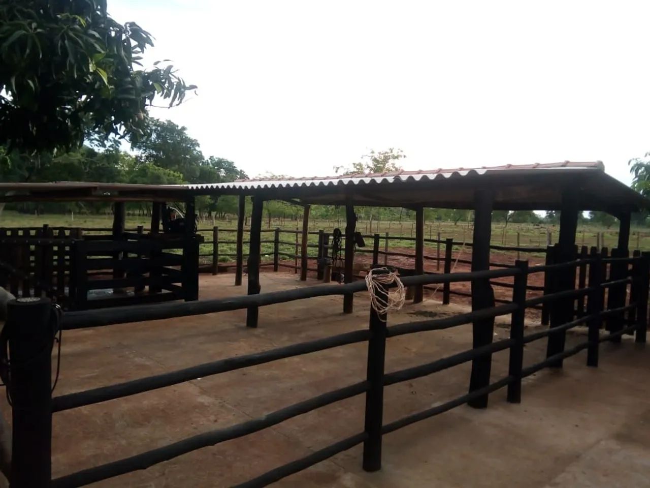 Vendo uma chácara próximo de Campo Grande MS  - Foto 2