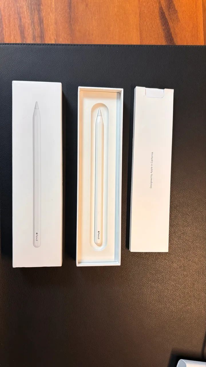 Apple Pencil 2ª Geração 