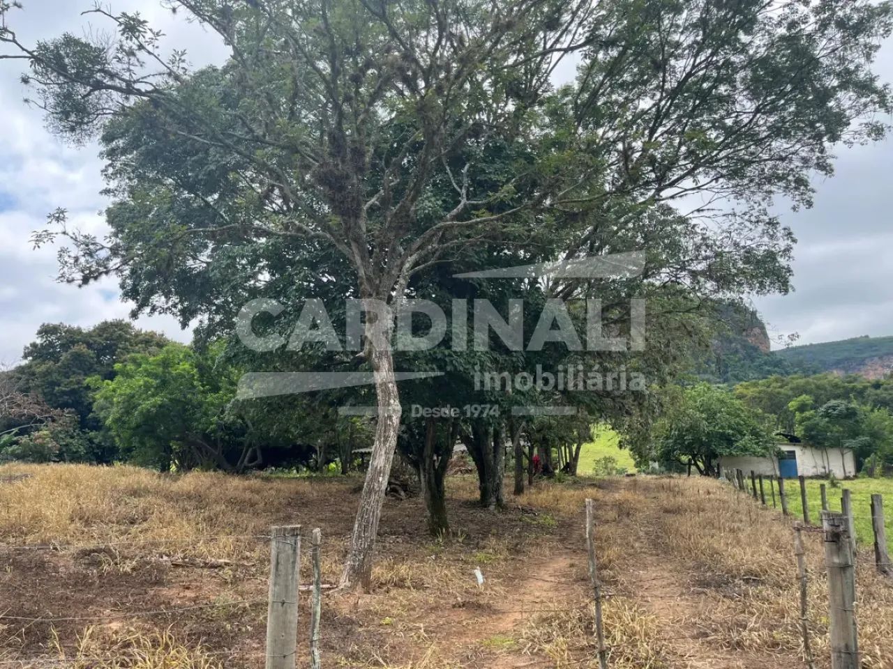 Fazenda em Analandia 11KM do Posto Grall Rubi - Foto 4
