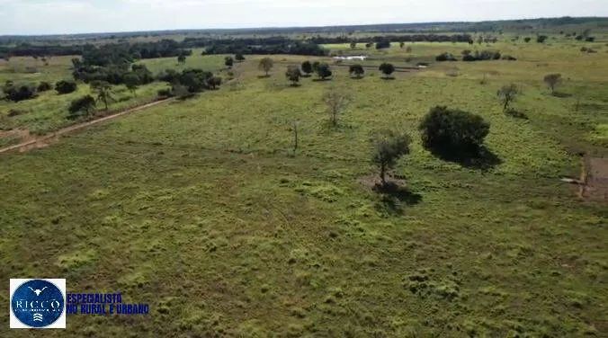 FAZENDA À VENDA EM ARAGUAÇU/TO  421 ALQUEIRES - Foto 5