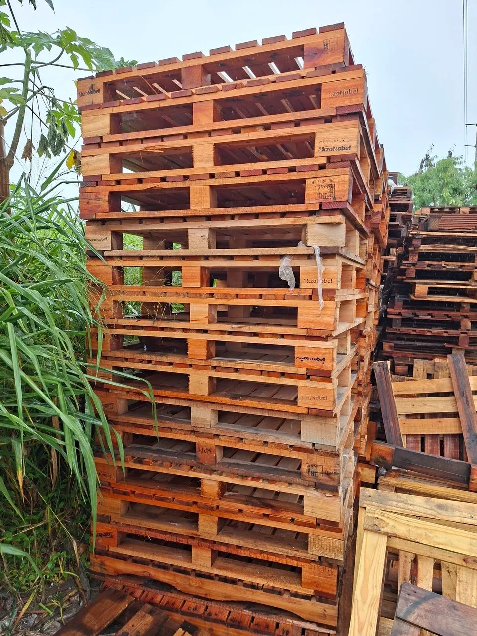 Pallet / eucstex e madeites  - Foto 3