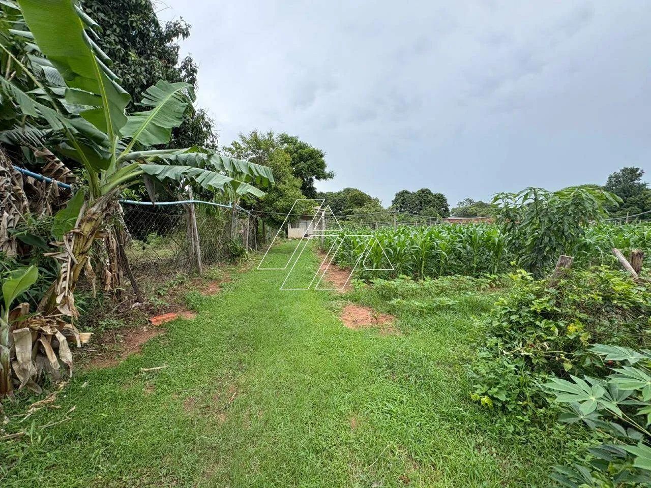 Chácara a venda em Nóbrega - Foto 3