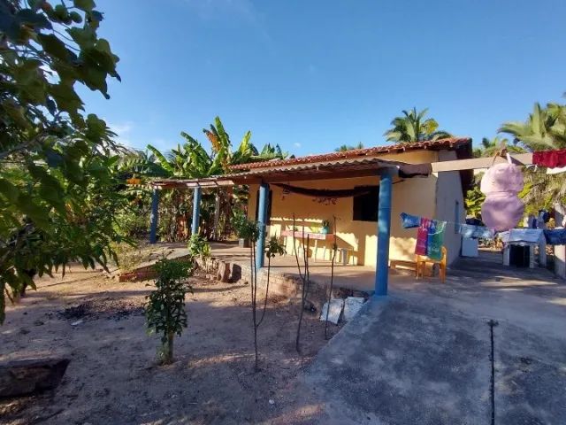 Sítio em Timon no Jóia