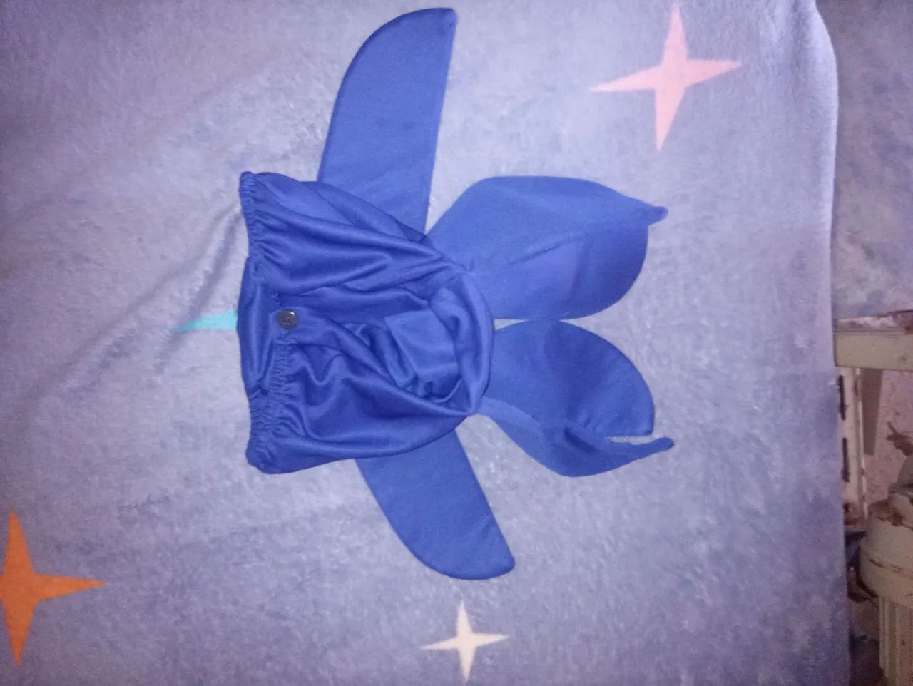 Fantasia - Foto 3