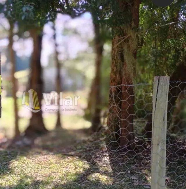 Terreno enorme em Piraquara  - Foto 4