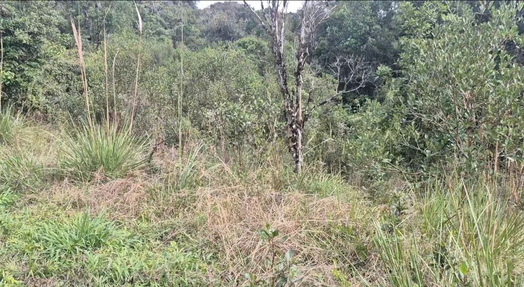 Chácara para lazer ou moradia.  - Foto 5