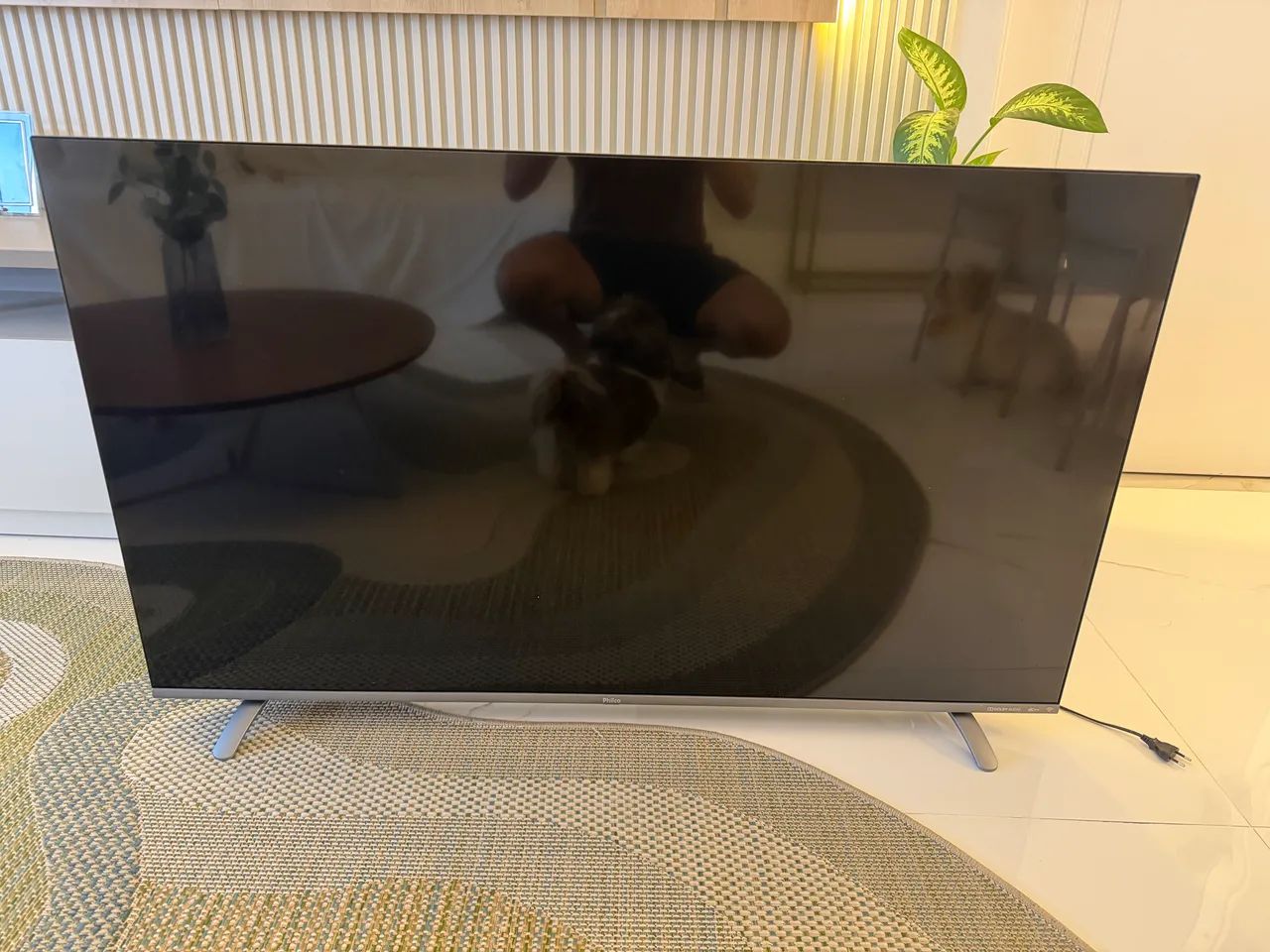 TV - Televisão Philco 55? - Foto 5