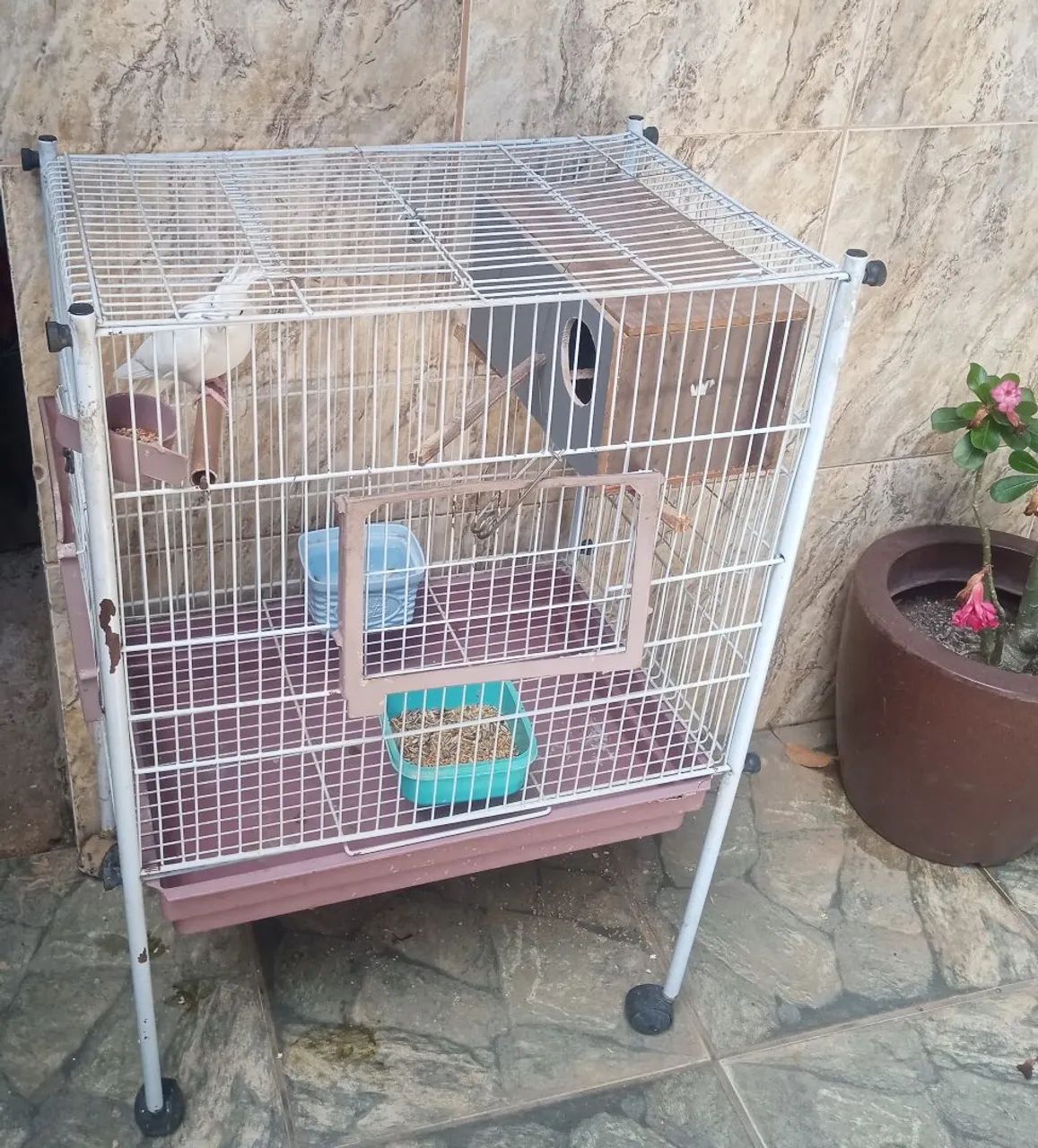 Gaiola grande - Foto 2