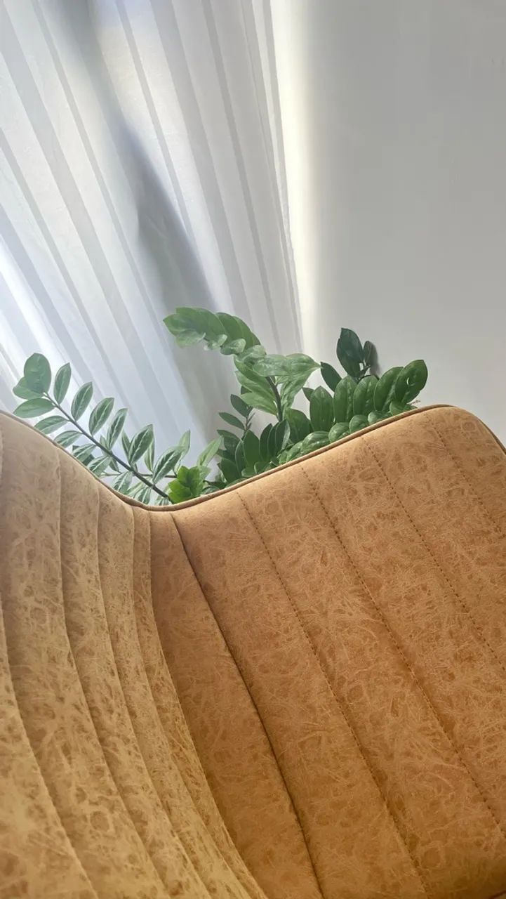 Banquetas 