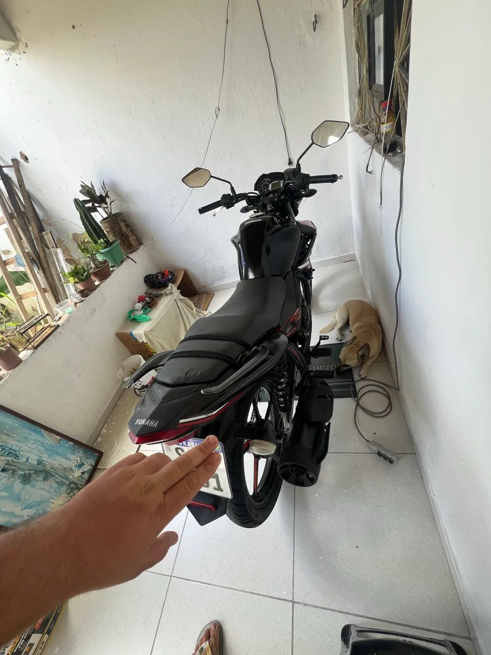 Fazer 150 2022 - Foto 3