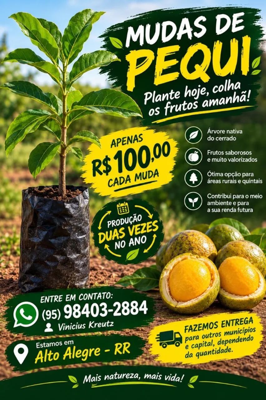 Pé de pequi