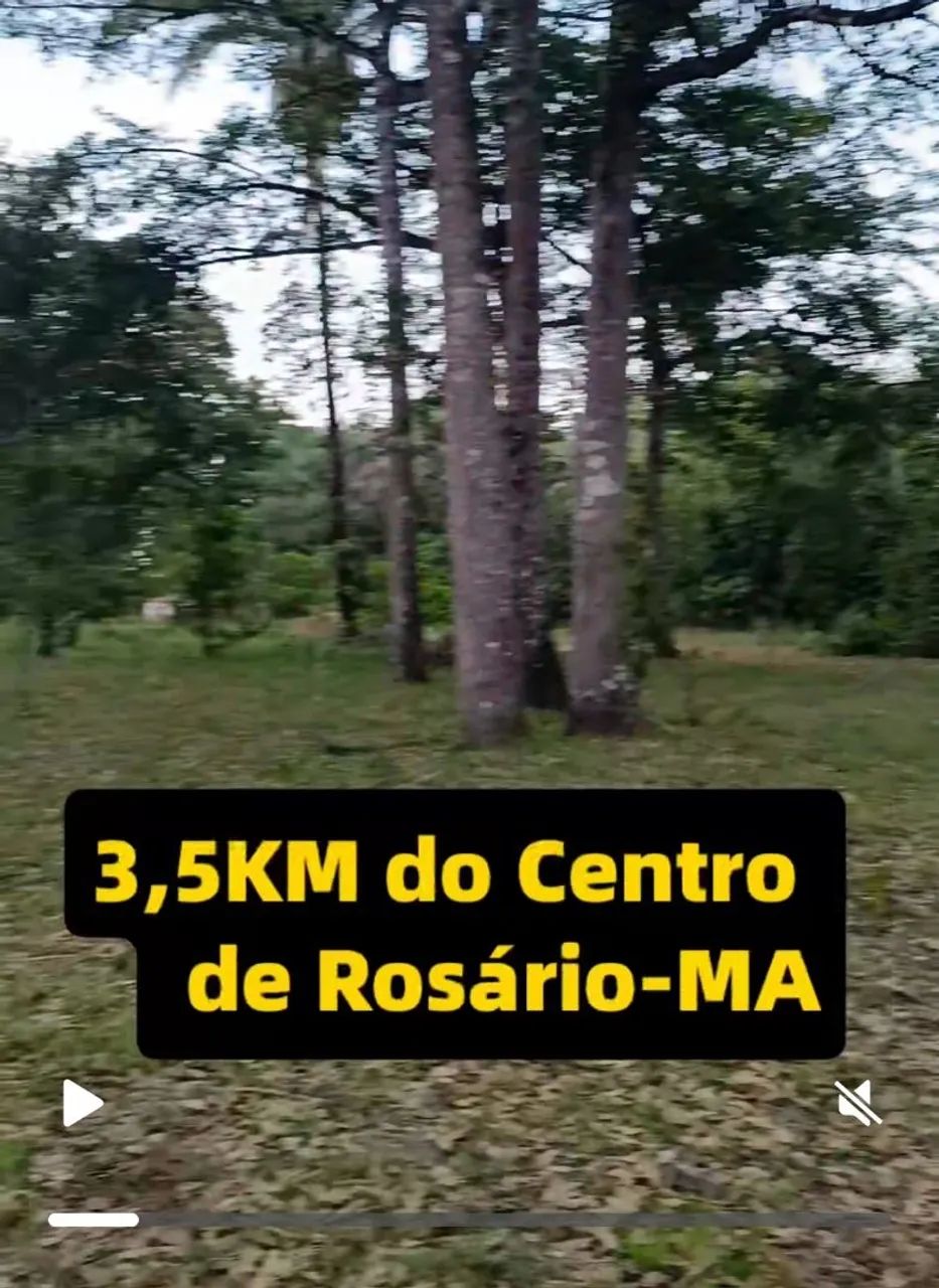Sítio Em Rosário-MA a 600m da BR 402 - Foto 3
