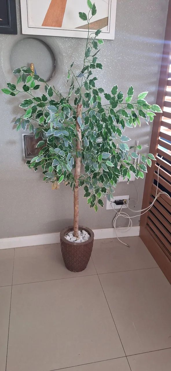 Planta decorativa - Foto 4