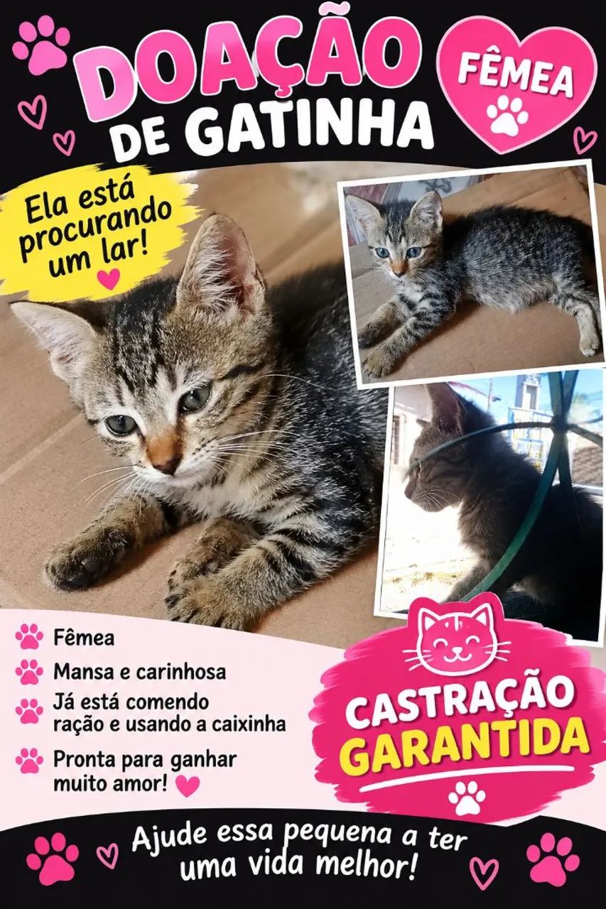 Doação 