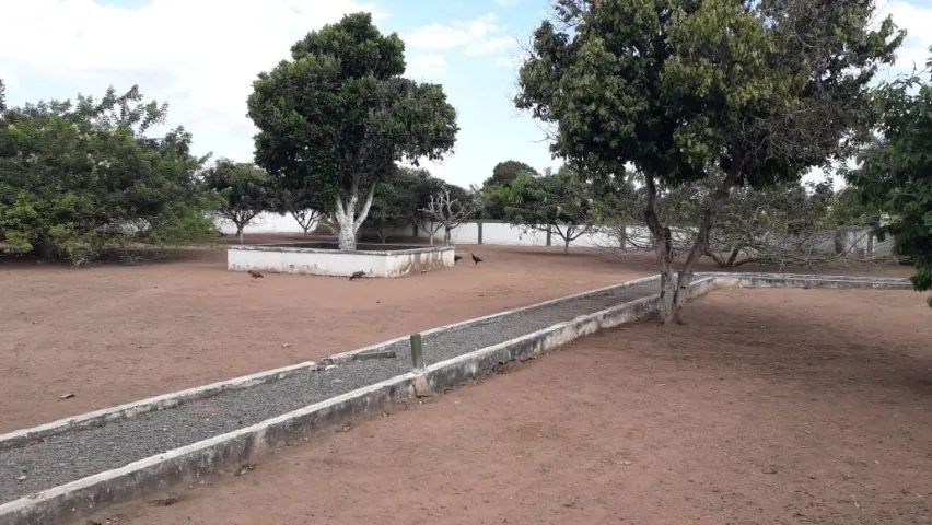 Terreno 4.146,43 m² - Foto 5