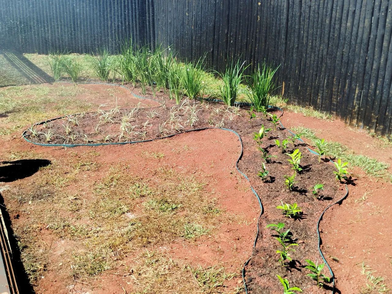 Quer deixar seu jardim perfeito vem com a melhor  - Foto 2