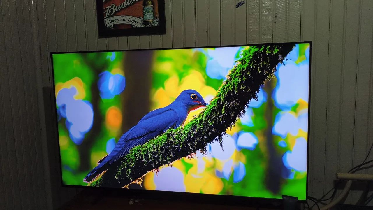 Tv Samsung 55 polegadas  - Foto 2