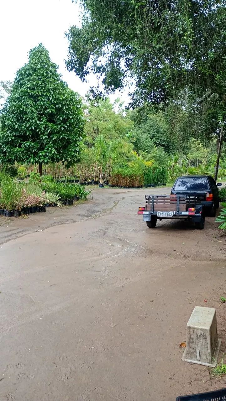 Jardinagem - Foto 3