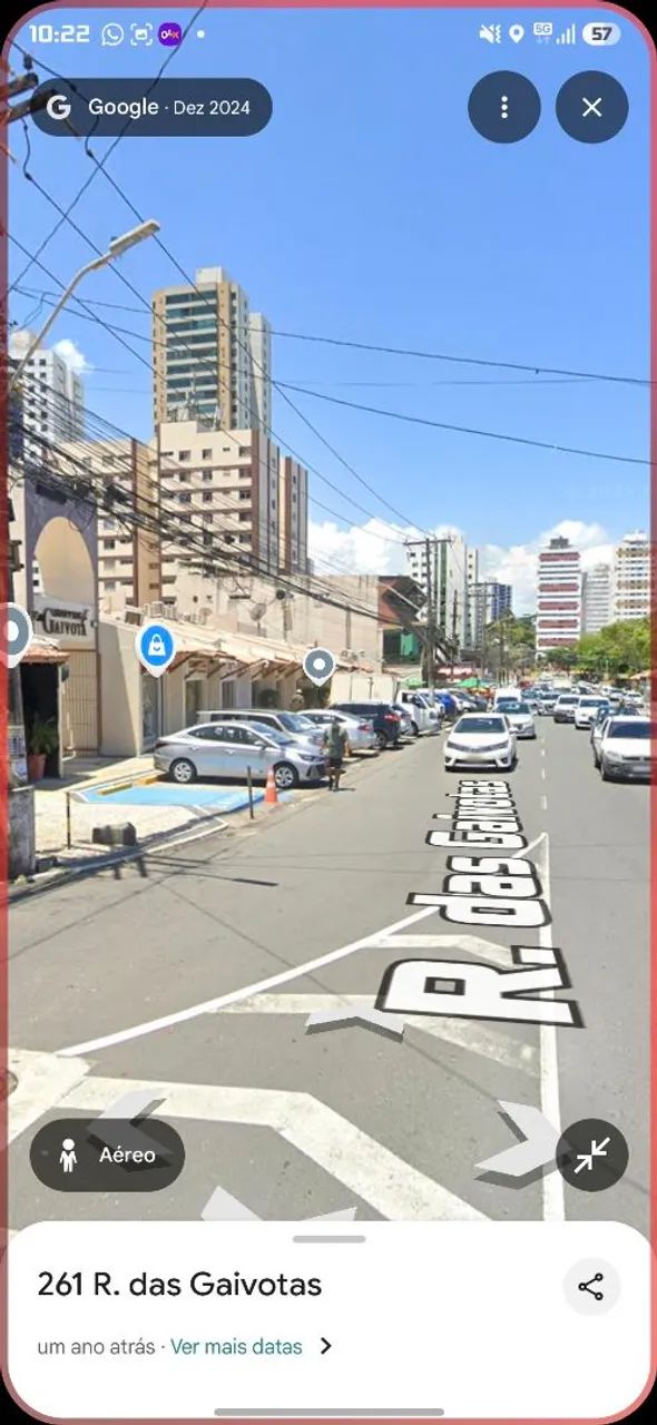 Passo Banho e Tosa Imbuí  - Foto 4