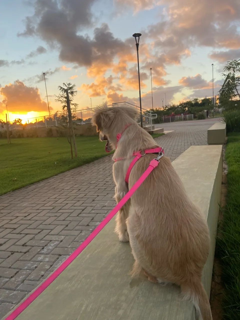 Doação  - Foto 3