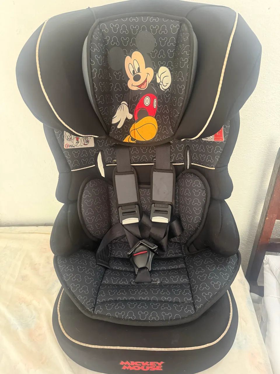 Cadeirinha de carro 
