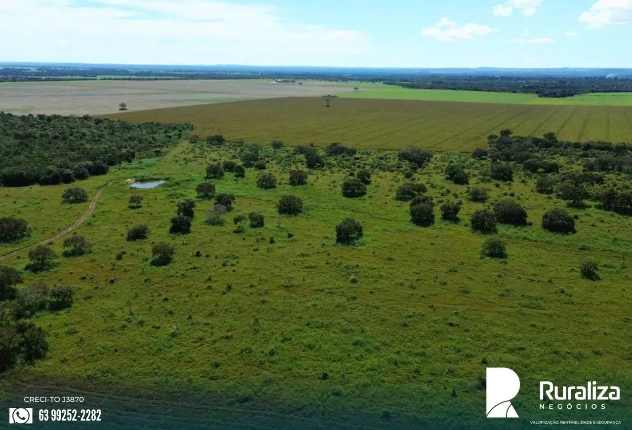 183 HA ABERTOS | REGIÃO DE SAFRA E SAFRINHA - Foto 4