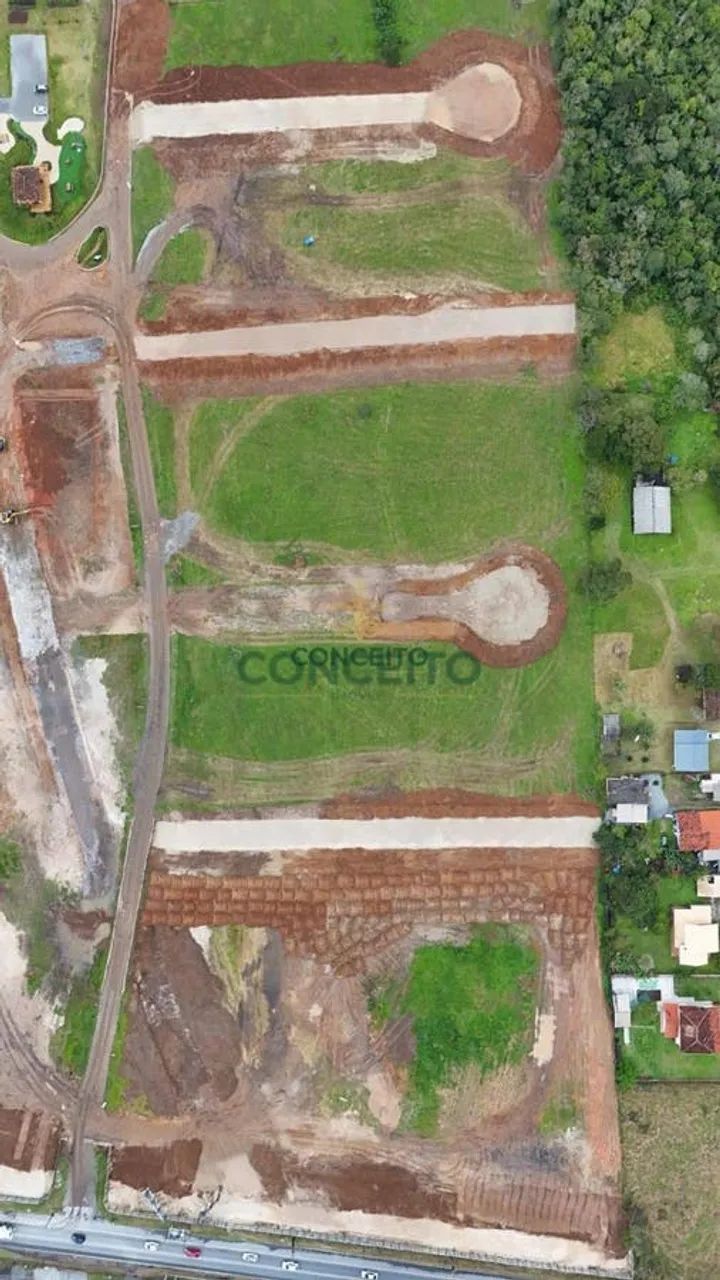 Lote/Terreno, Rio Tavares - Florianópolis - Foto 4