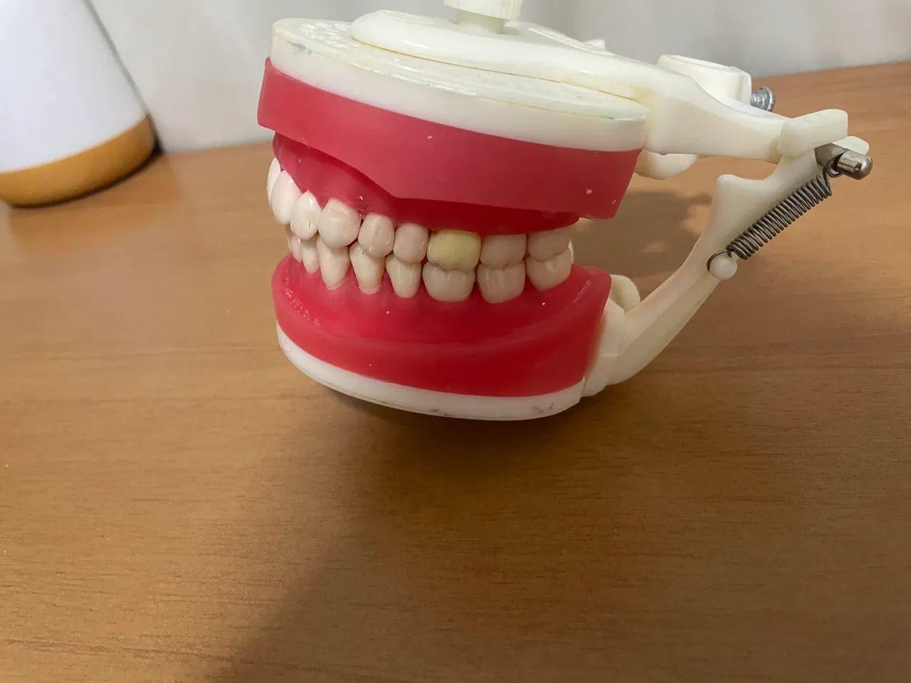 Manequim dentística pronew - Foto 2