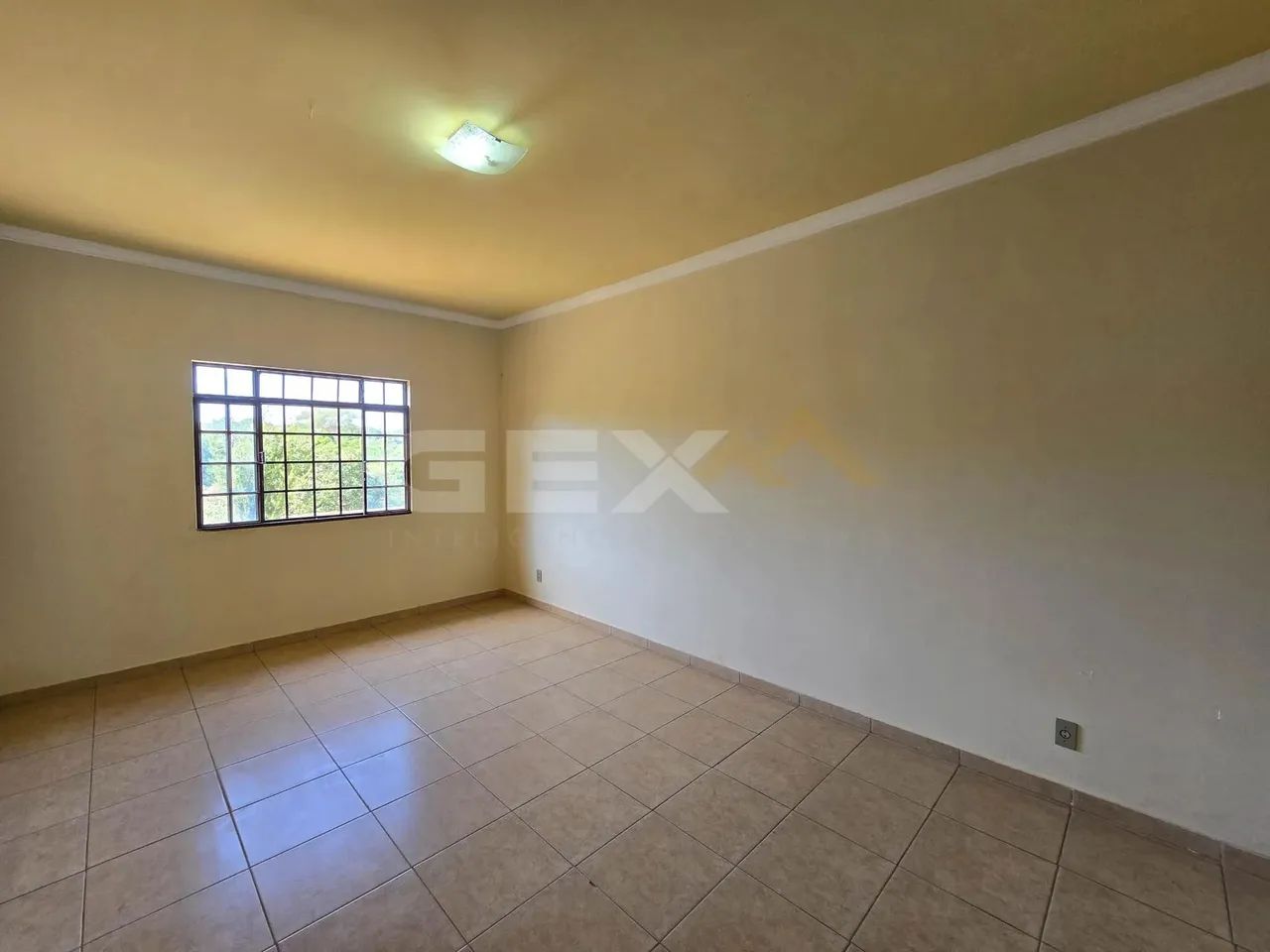 Chácara em lote de 800m² no Gafanhoto - Foto 10