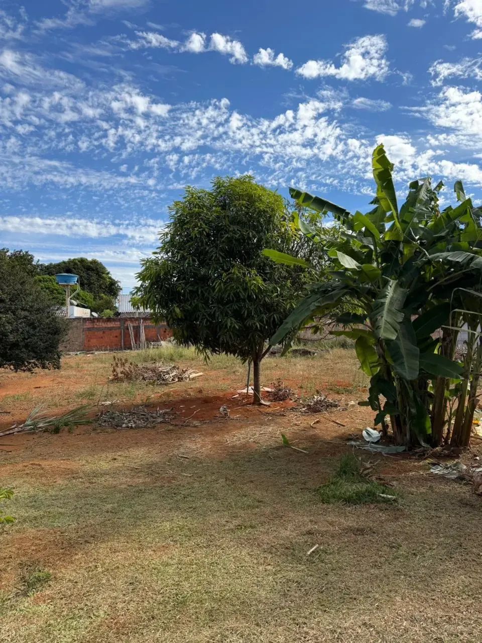 Mini Chácara com 5 Quartos, Pomar, Churrasqueira e Ampla Área Verde  Ponte Alta Norte - Foto 5