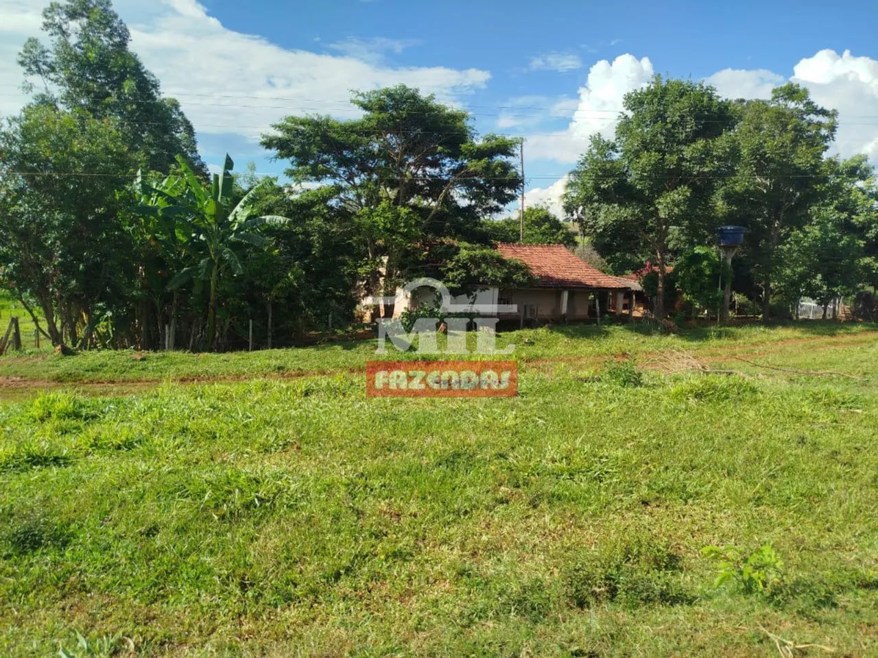 Chácara 37,500 M² em Caturaí - MG - Foto 4