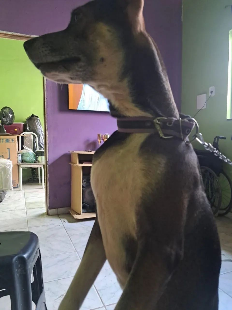 DOAÇÃO - Foto 2