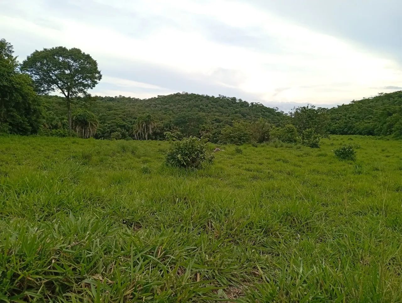 Fazenda em Faina-go - Foto 3