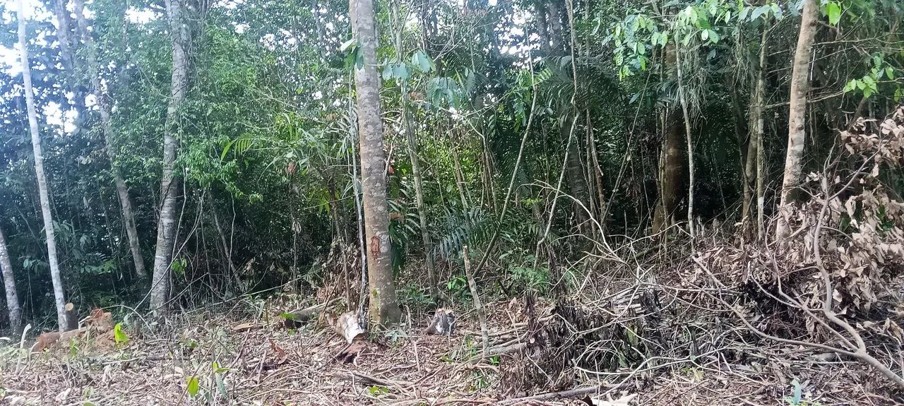 Terreno na agrovila Itaqui  - Foto 3