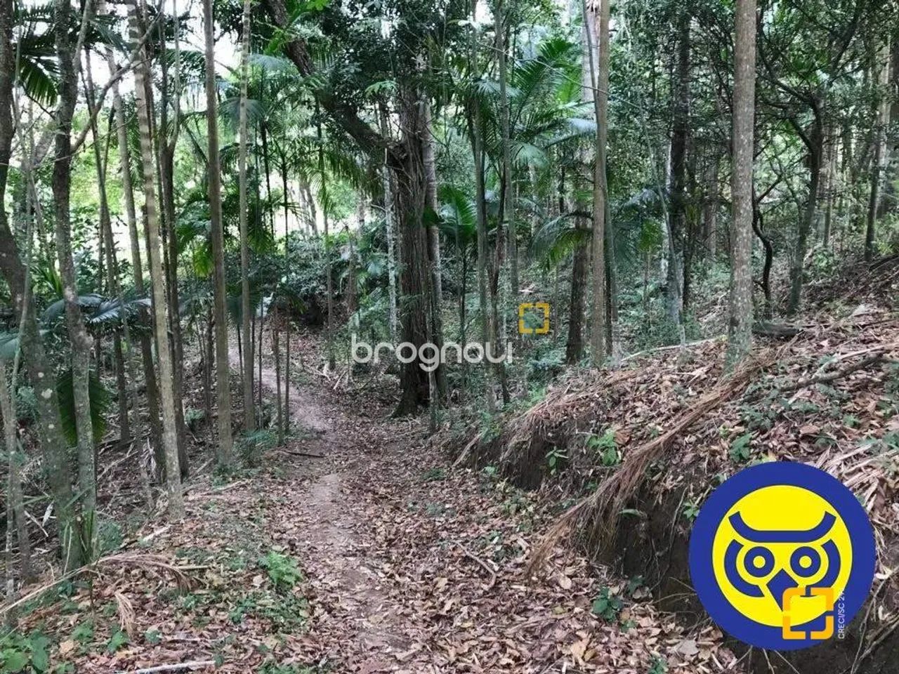 Lote/Terreno plano com 50.000m² - bairro Vargem Grande - Florianópolis SC - Foto 4