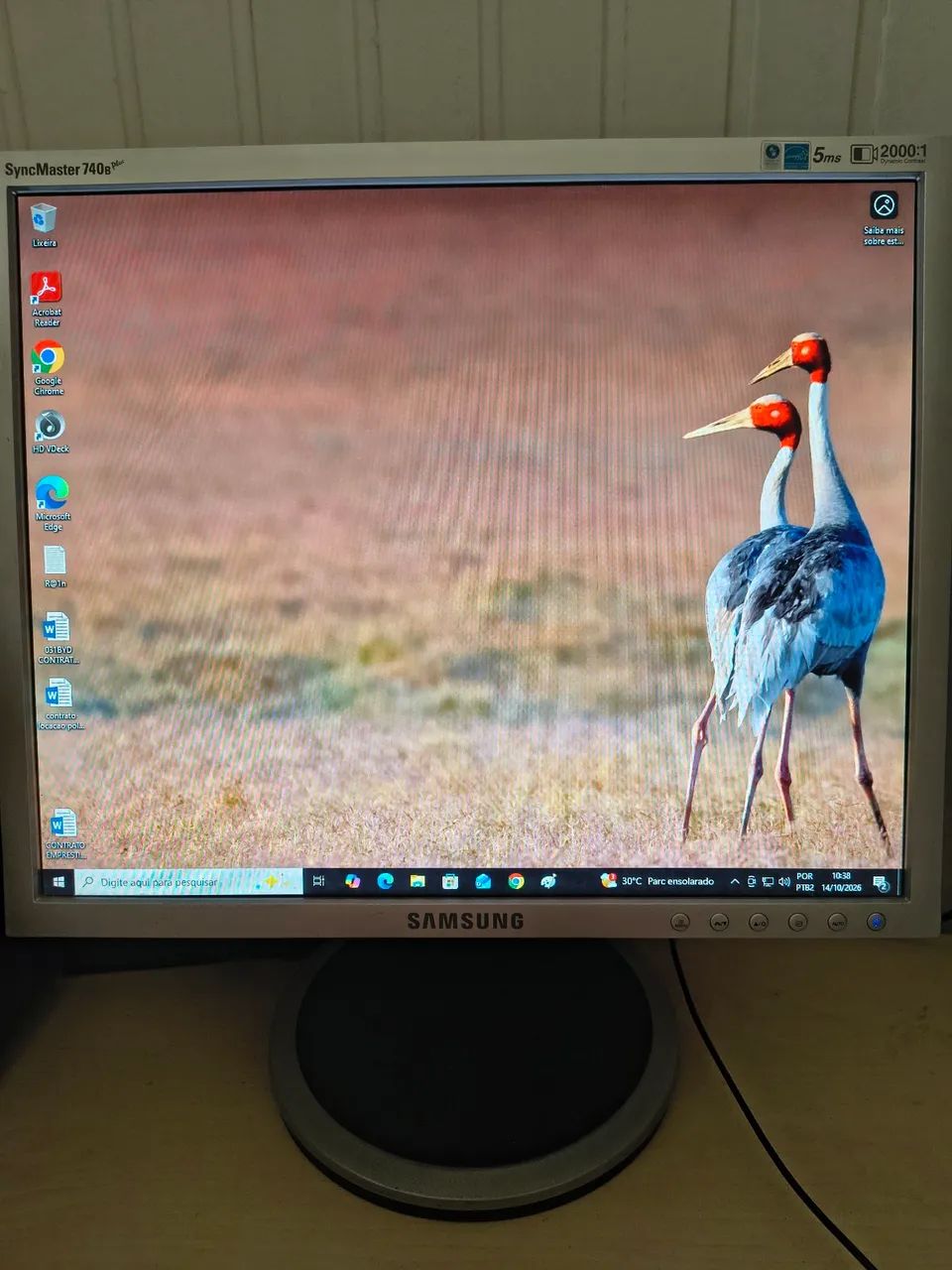 Monitor Samsung 17" 