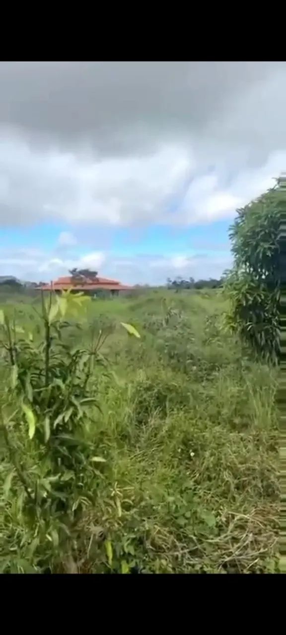 Chácara 3 mil metros quadrados  - Foto 5