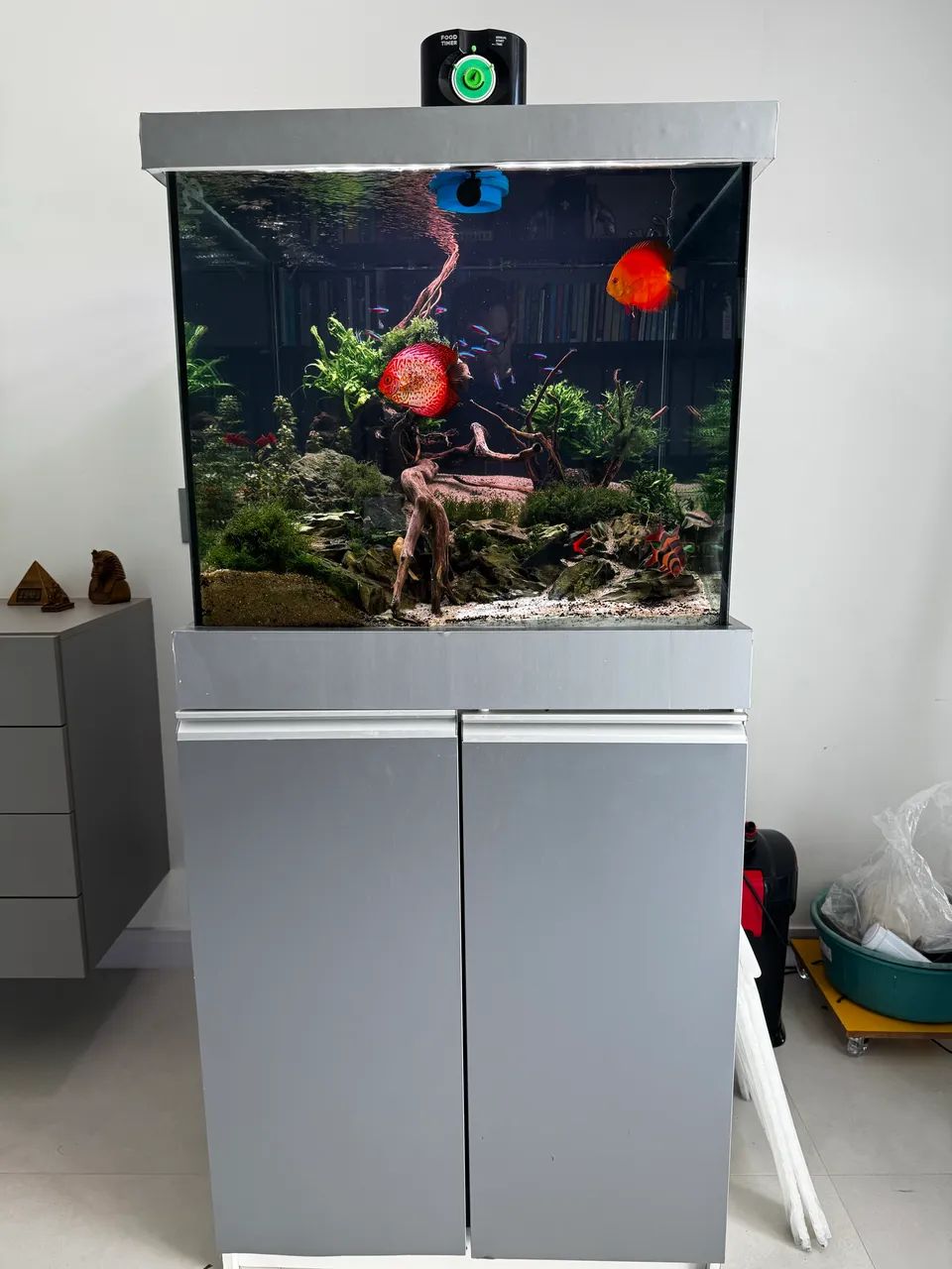 Aquário Completo  - Foto 3