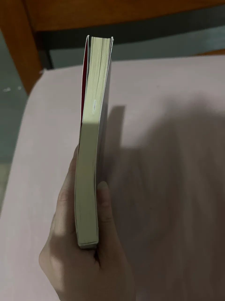 Livro Tudo é rio  - Foto 4
