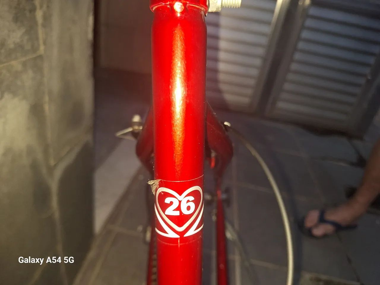 Bicicleta 