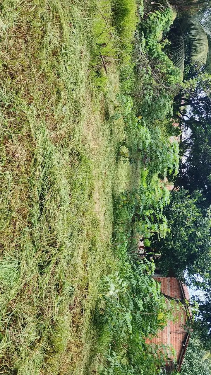 Vendo lotes e terreno  - Foto 3