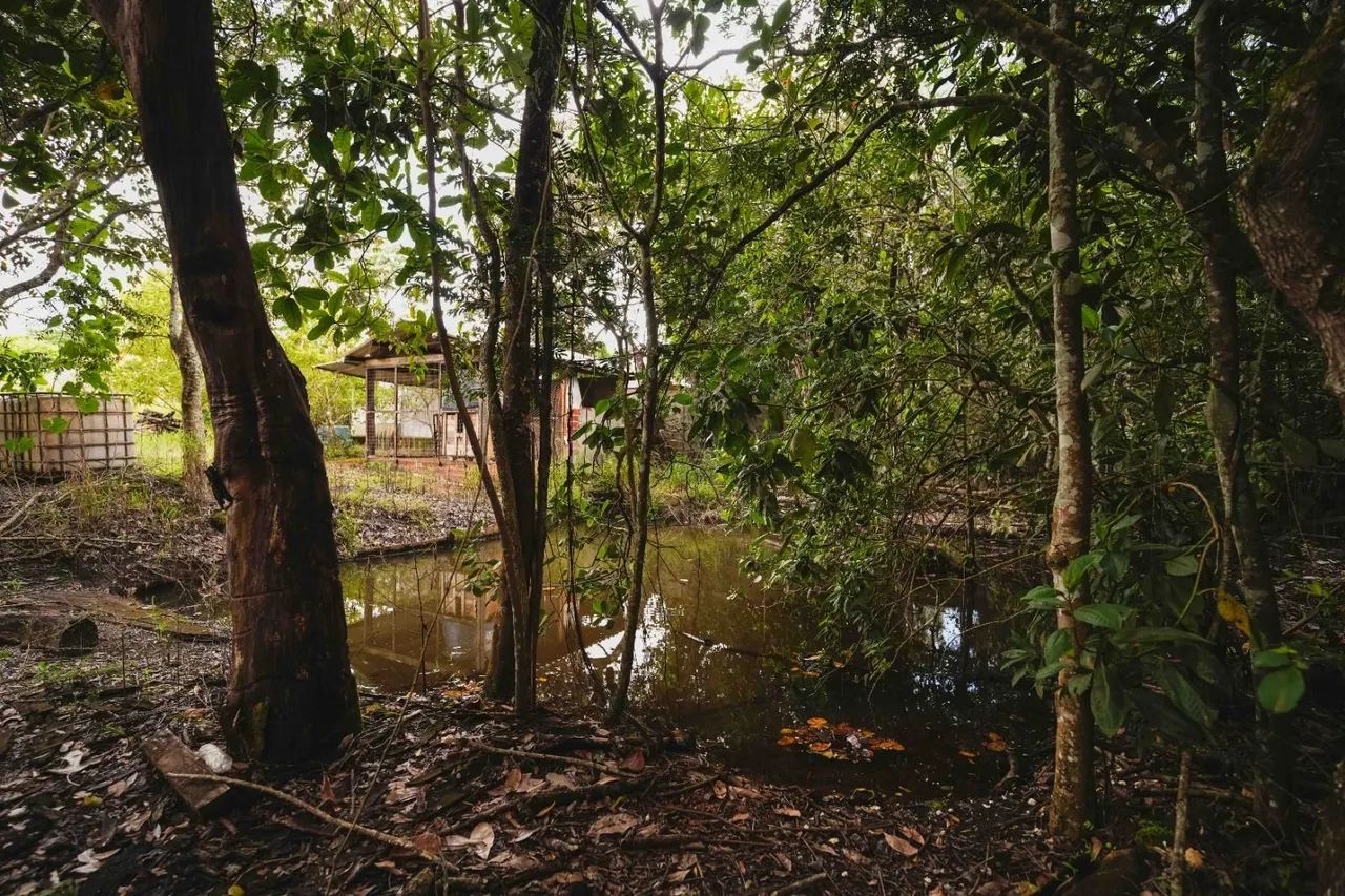 Chácara 4000m2 em Anápolis  - Foto 5