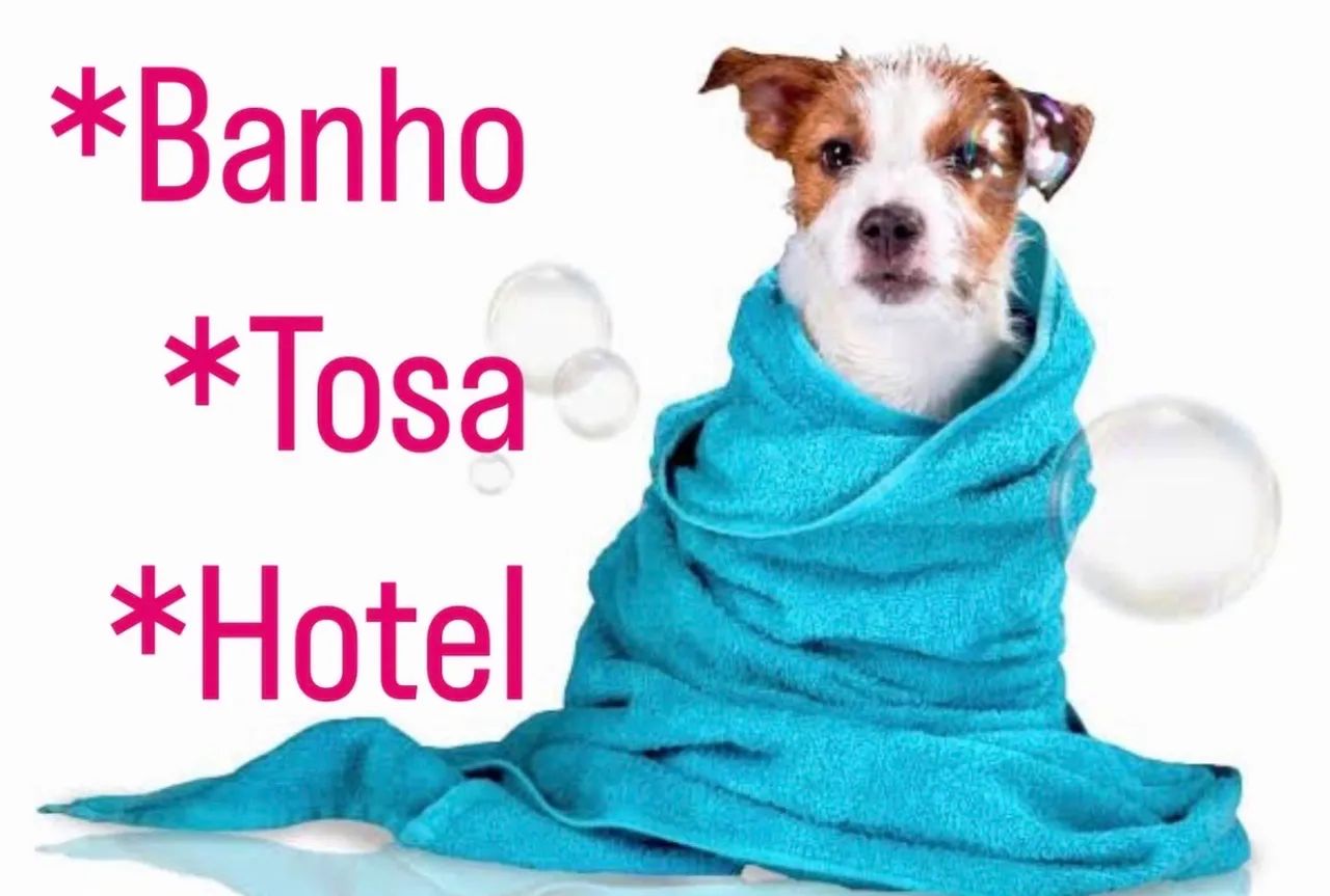 Hotel e pet shop - Foto 2